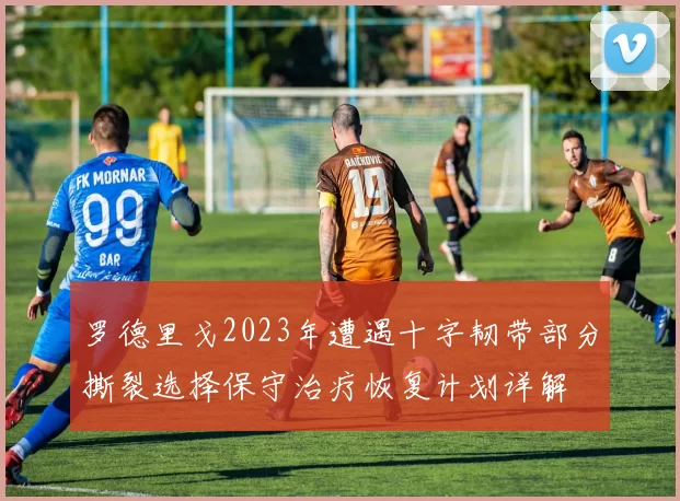 罗德里戈2023年遭遇十字韧带部分撕裂选择保守治疗恢复计划详解