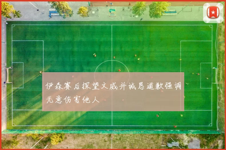 伊森赛后探望文威并诚恳道歉强调无意伤害他人